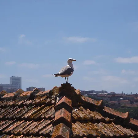 Casa Farrapos Appartamento Oporto