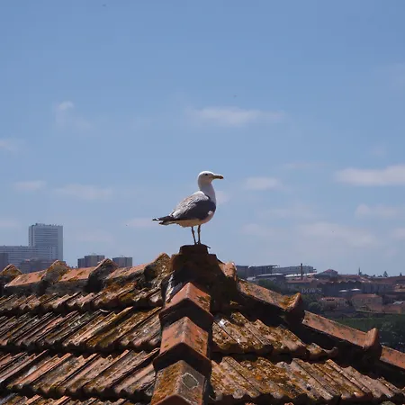 Casa Farrapos * Oporto