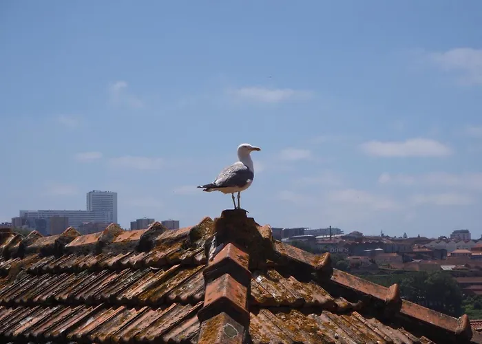 Casa Farrapos Lägenhet Oporto